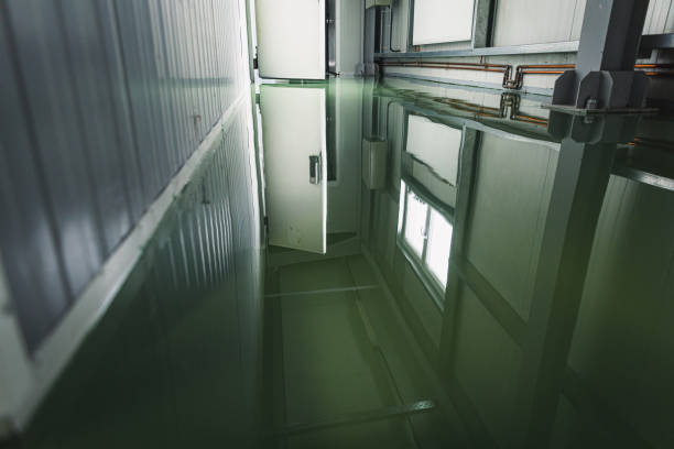 new cold rooms in the butchery industry with green epoxy resin floors - levelling instrument imagens e fotografias de stock