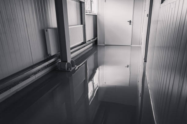 istock New refrigeration hall for the meat industry 1346375016