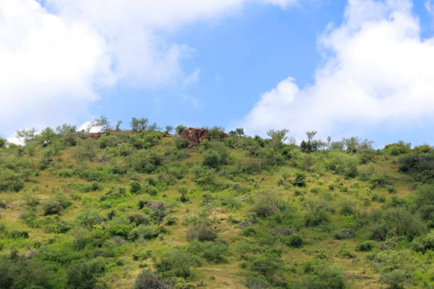 This image was captured near Junagadh Gir Forest in monsoon time dramatic sky in mountain and lush green grass landscape at Gir National Park and Sanctuary gujarat india