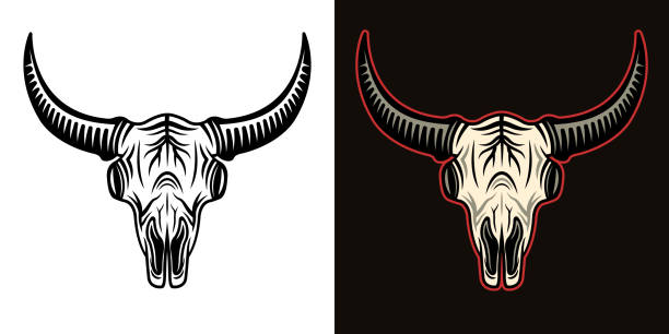 illustrations, cliparts, dessins animés et icônes de tête de crâne de taureau ou de bison en deux styles noir sur blanc et coloré sur fond sombre illustration vectorielle - animal skull cow animal black background