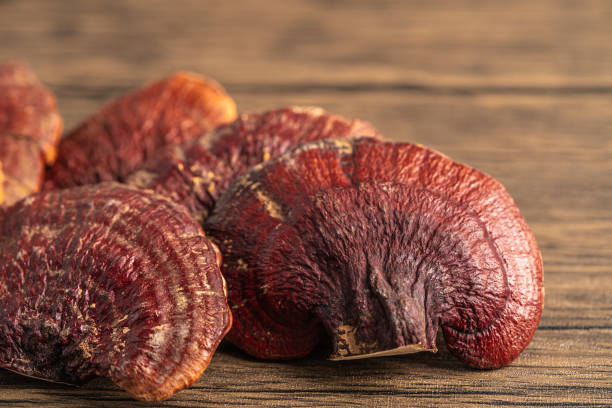 istock Dried lingzhi mushroom isolated on white background with clipping path. 1346375438
