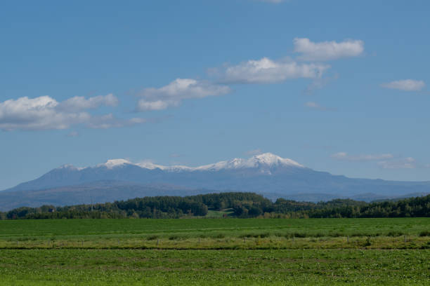 istock Green meadows and snow-capped mountains 1346375614