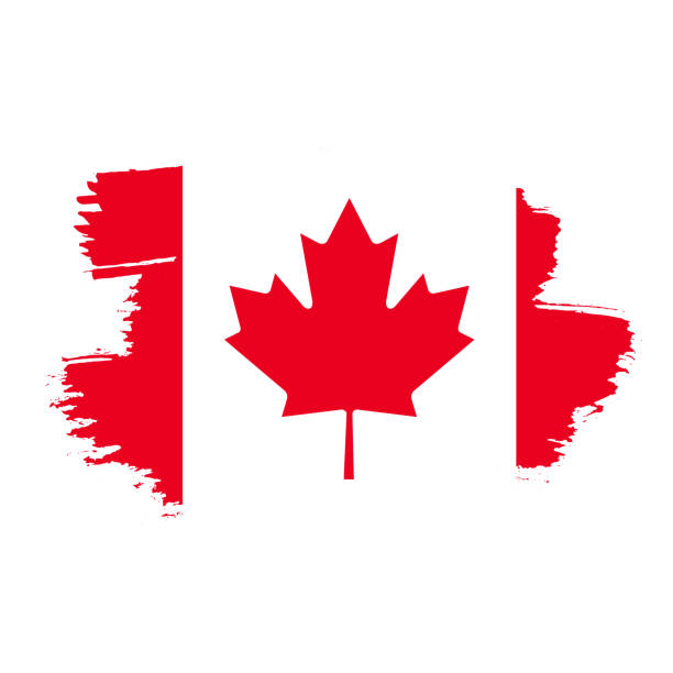 istock Grunge flag of the Canada. Canada flag illustrated on paint brush stroke. 1346378305