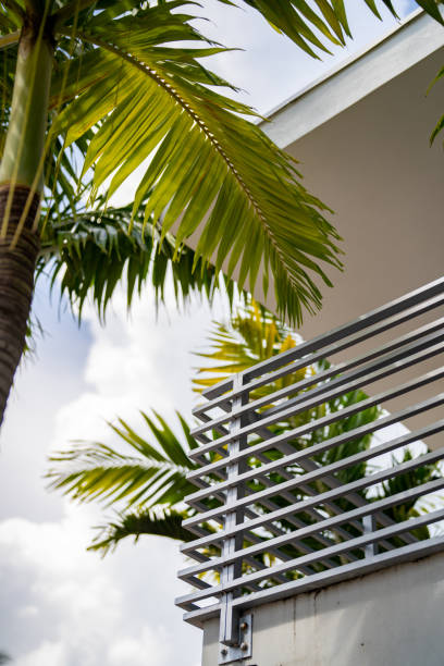 istock Miami Beach photo with architecture and palm tree fronds 1346379273