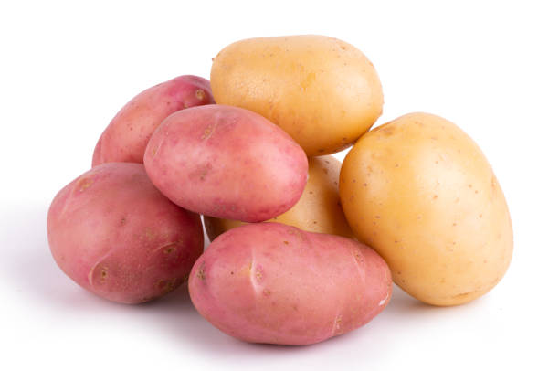 흰색 배경에 고립 된 노란색과 빨간색 감자의 닫기 닫기 닫기 - raw potato 이미지 뉴스 사진 이미지