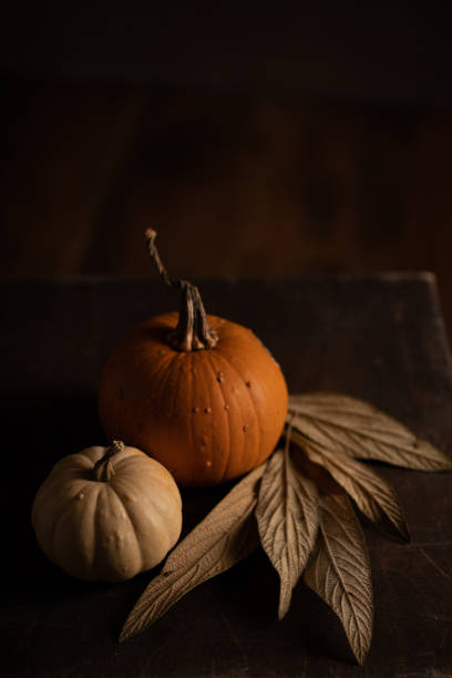 istock Two pumpkins and dry leaves on dark background. 1346381582