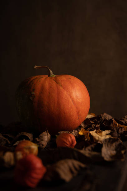 istock Orange pumpkin and dry leaves on dark background. 1346381714