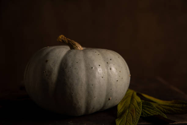 istock Blue pumpkin and dry leaves on dark background. 1346381715