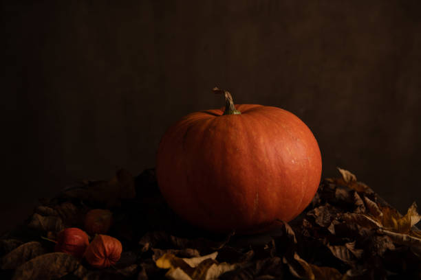 istock Orange pumpkin and dry leaves on dark background. 1346381717
