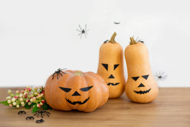 istock Halloween squashes and pumpkin next to spiders and berries 1346383074