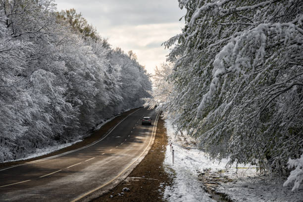 istock Road in snowy landscpape 1346383172