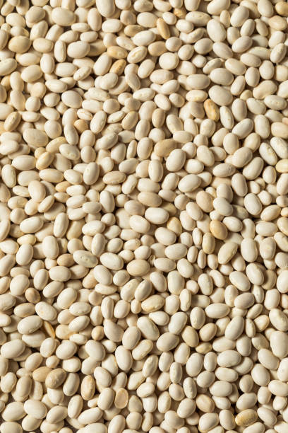 istock Healthy Organic Dry White Beans 1346384351
