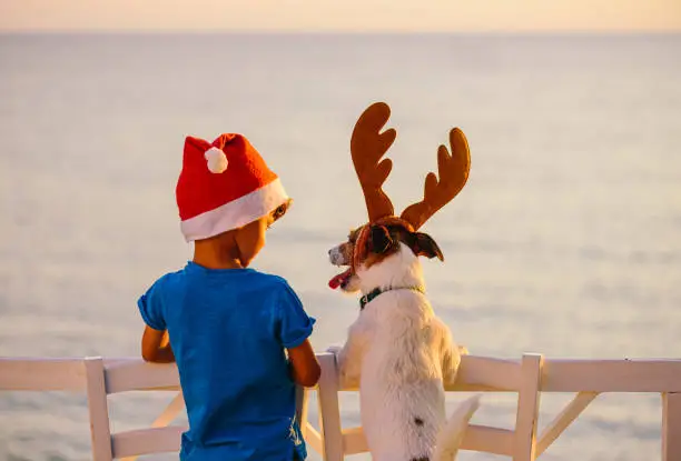 Photo of Calm and happy Christmas at seashore concept. Two friends in Christmas hats looking at seascape. Kid and dog at beach