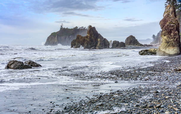 Ruby Wa 1,300+ Ruby Beach Washington Stock Photos, Pictures & Royalty-Free ...