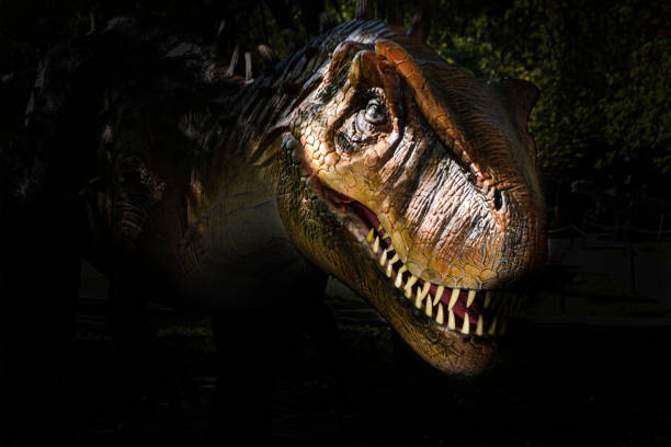 t-rex is a carnivorous genus of coelurosaurian theropod in the dark background - theropod stockfoto's en -beelden