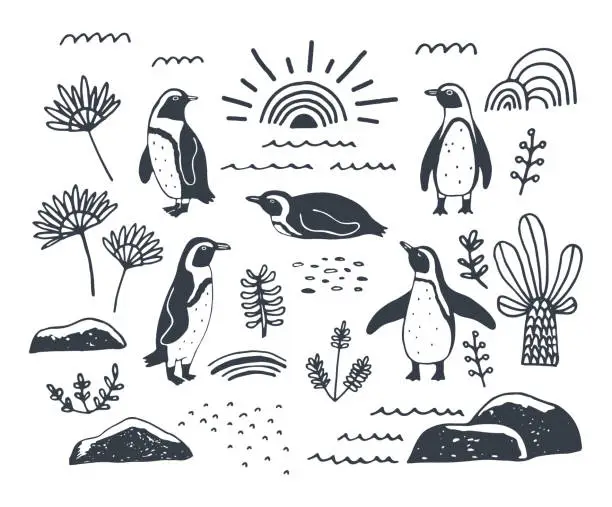 Vector illustration of Set with African penguins