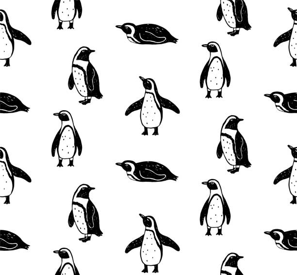 African penguin Hand drawn seamless pattern with African penguin. With the effect of scuffing. White background penguin stock illustrations