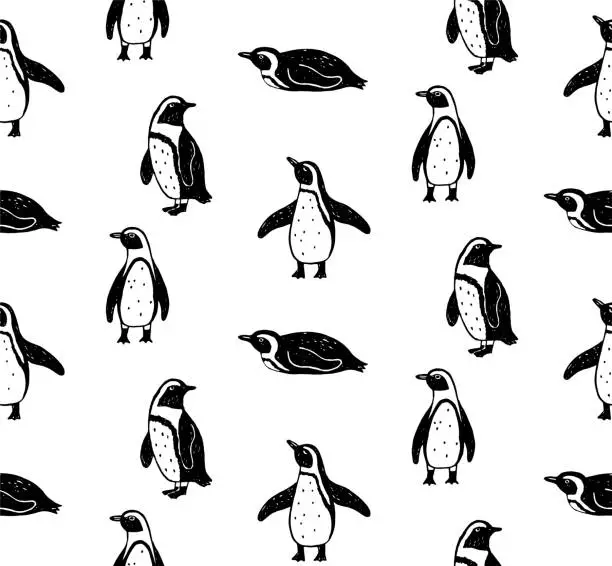 Vector illustration of African penguin