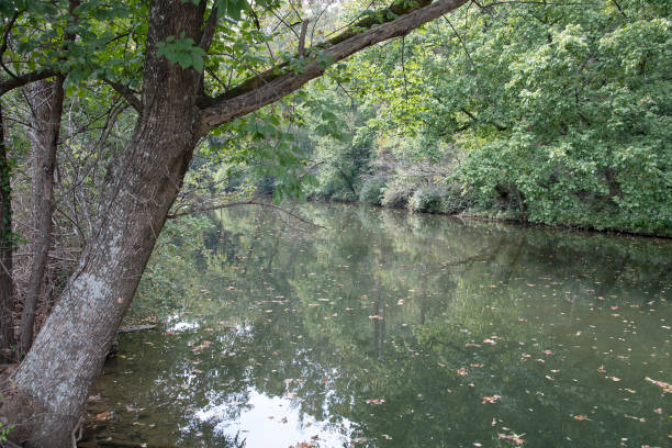 istock Parkland views of Kentucky 1346396270