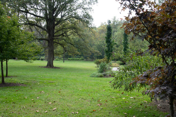 istock Parkland views of Kentucky 1346396377