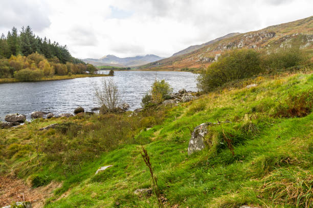 istock Welsh lake Llynnau Mymbyr from Capel Curig, grass in foreground. 1346397531