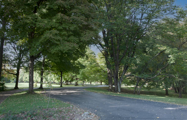 istock Parkland views of Kentucky 1346398491