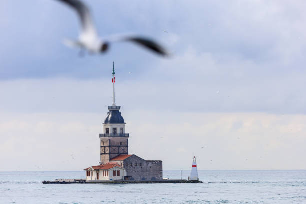 istock Maiden Tower in Istanbul with cloudy sky and blurred seagull 1346398725