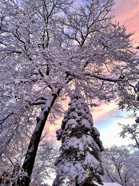 istock Clearing after the snow storm 1346404084