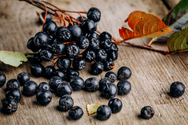istock Chokeberry (Aronia melanocarpic) on a wooden table 1346405839