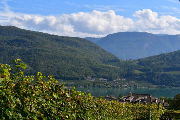 istock Beautiful Lake Caldaro in Southtyrol 1346406948