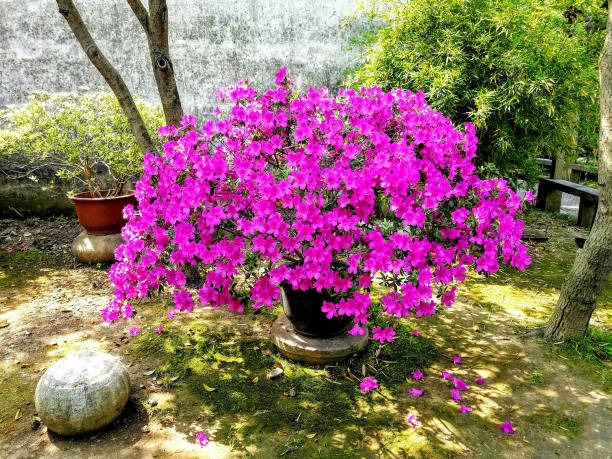 istock Nature and Landscapes 1346407805