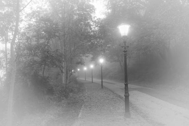 Beautiful view of a road with classic street lamps in the mist. Old look. Black and white image, white vignetting added.
