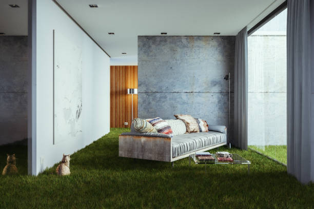 Abstract concrete living room with house cat