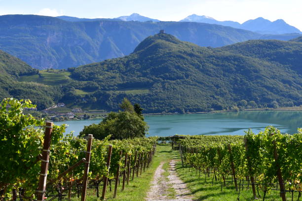 hermoso lago caldaro en southtyrol - lake caldaro fotografías e imágenes de stock