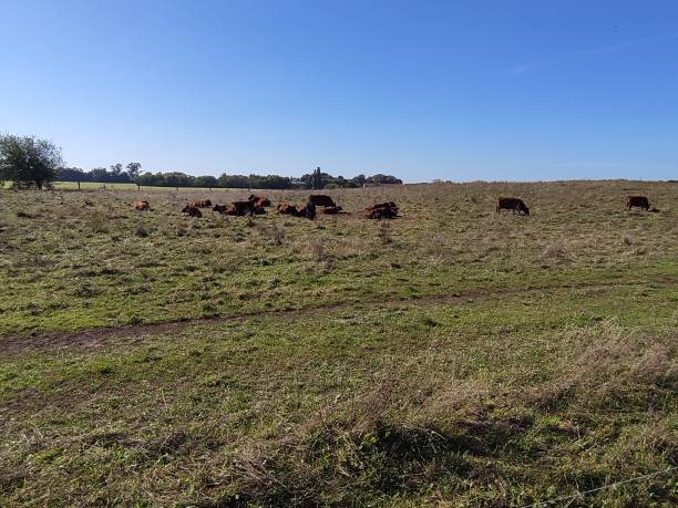 istock Beautiful landscape at a sunny autumn day 1346414794