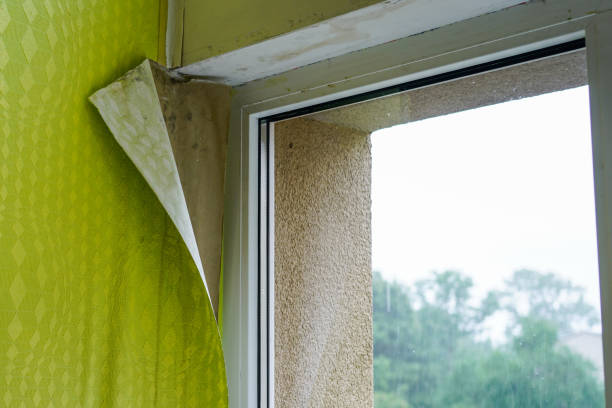 istock wallpaper peeled off due to moisture or poor quality gluing 1346415039
