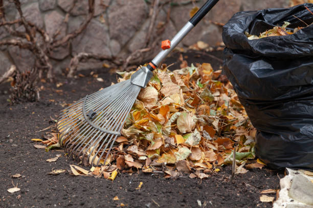 istock Gardener collects fallen leaves by long rake 1346415922