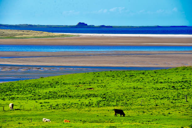 istock English Countryside 1346416891