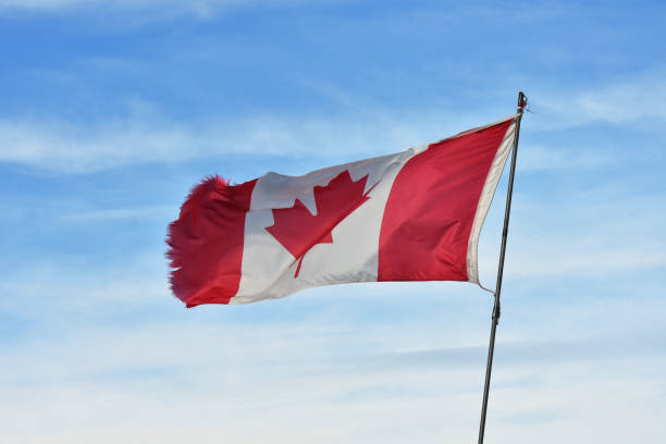 istock Old Tattered Canadian Flag 1346418683