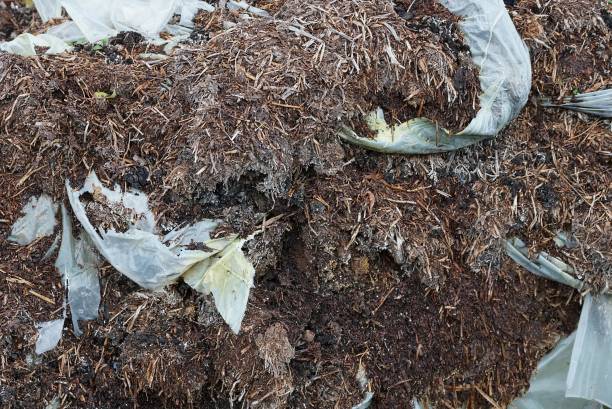 istock texture of brown dung with pieces of white plastic 1346420525