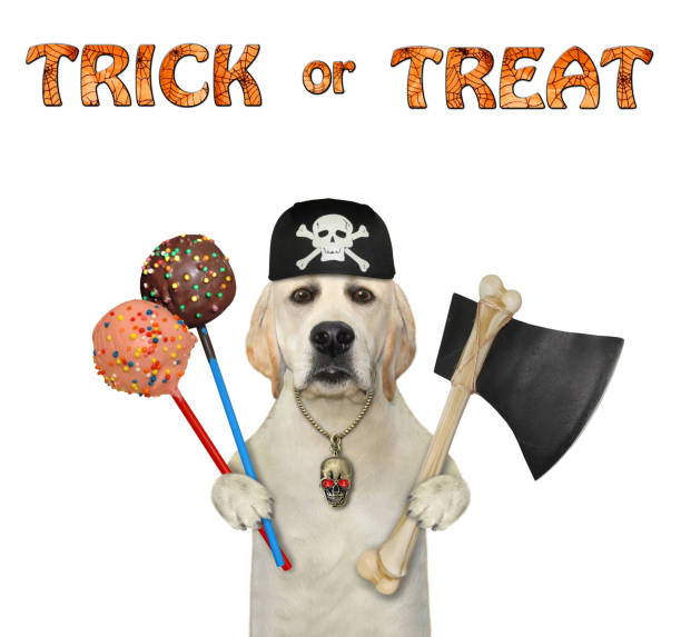 istock Dog labrador holds cake pops and axe 1346420918