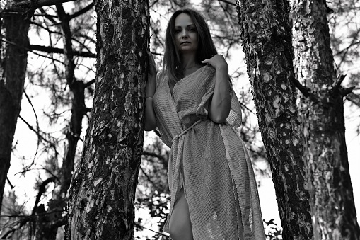 A beautiful woman in the form of a forest elf, in the thicket of the forest.