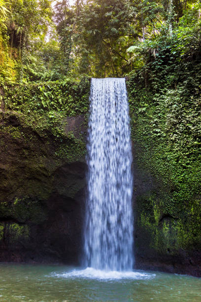 istock Tibumana waterfall in Bali 1346424915