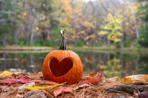 Pumpkin carved with a heart shape on a bed of leaves in autumn stock photo