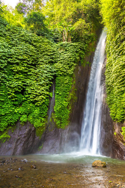 istock Munduk waterfall in Bali 1346427292