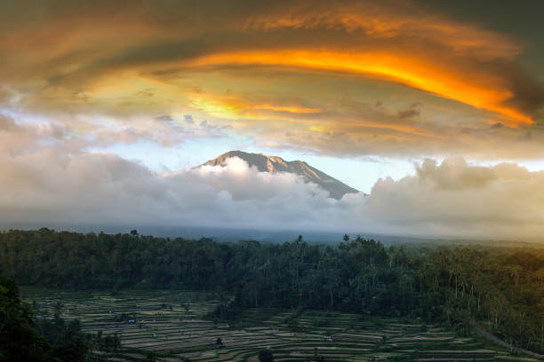 Sunset at Rice terrace field and volcano Agung on Bali, Indonesia in a sunny day