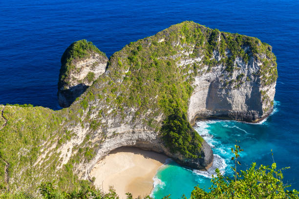 istock Kelingking Beach in Nusa Penida 1346428432