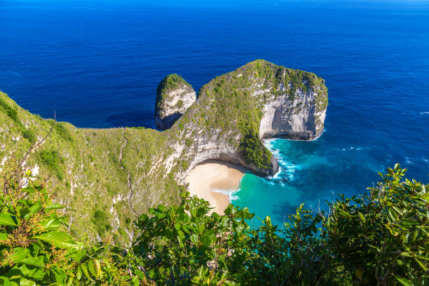 istock Kelingking Beach in Nusa Penida 1346428447