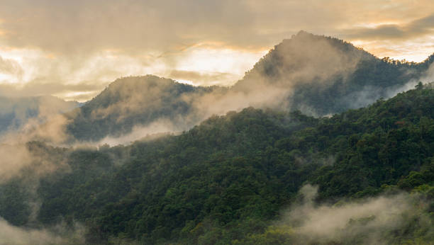 mindo nebelwald, ecuador - ecuadorian culture stock-fotos und bilder