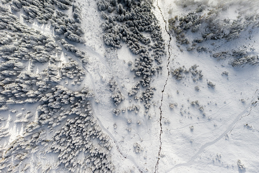 Aerial view of a forest covered with fresh snow and clouds in the Aletsch Arena area. Switzerland in the fall.